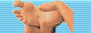 bannermassage